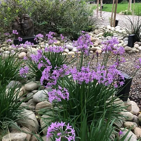 Maison De Montmorency Au Pied De La Cite קרקסון